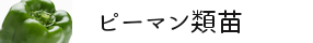 ピーマン・とうがらし類苗