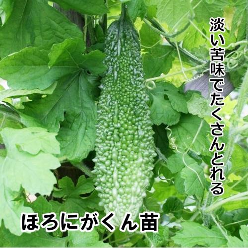 ほろにがくん