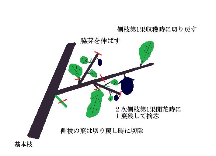 切り戻し